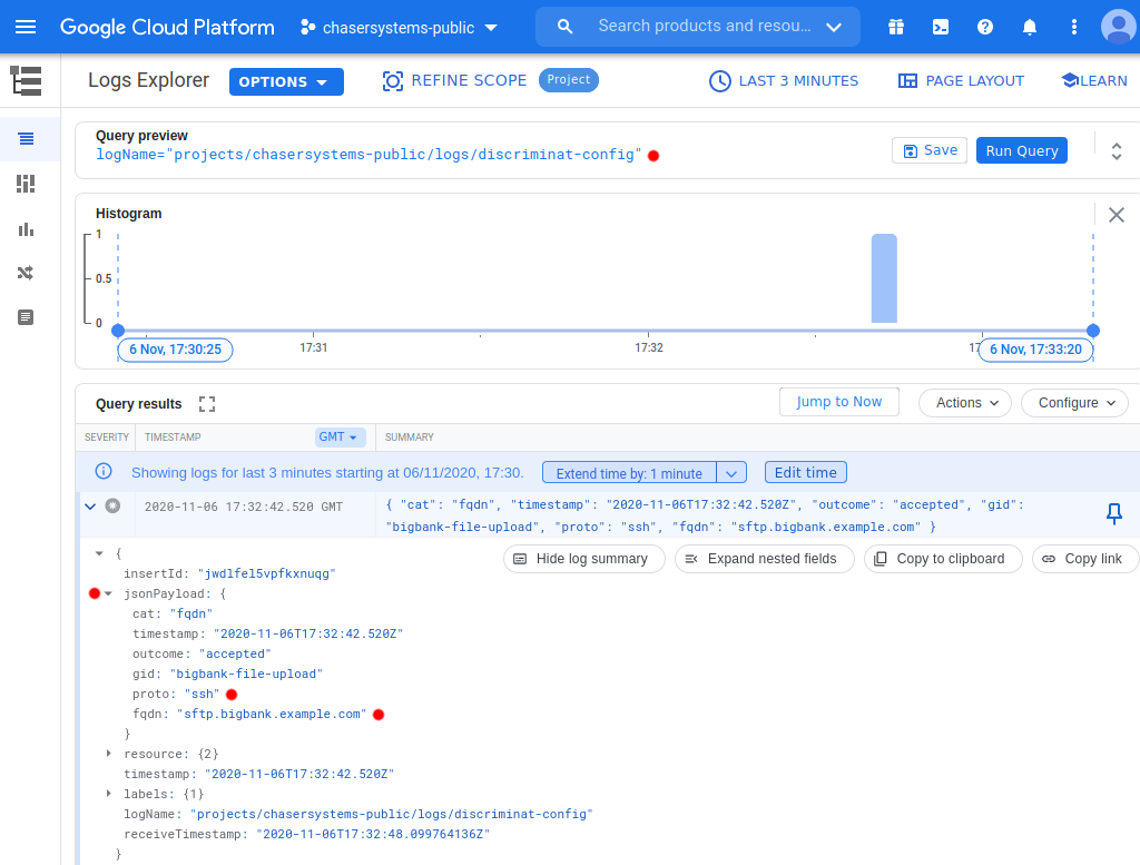StackDriver DiscrimiNAT config log